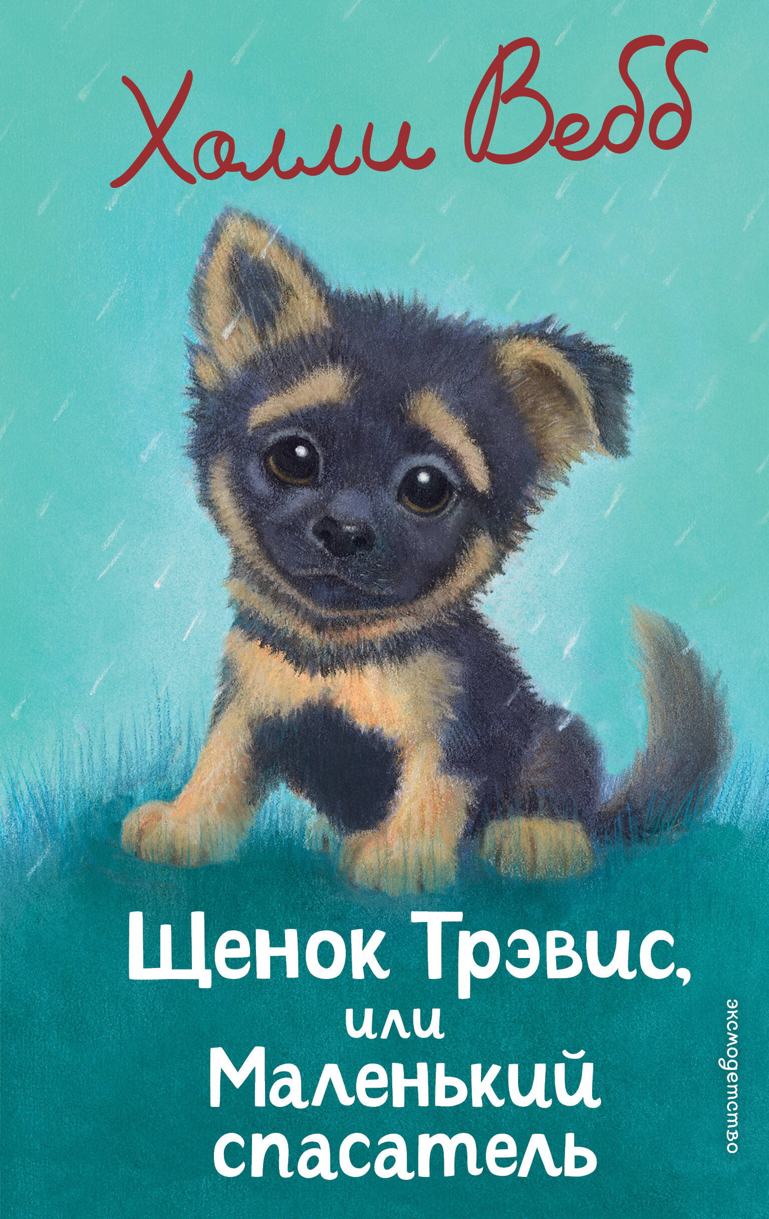 

Щенок Трэвис, или Маленький спасатель