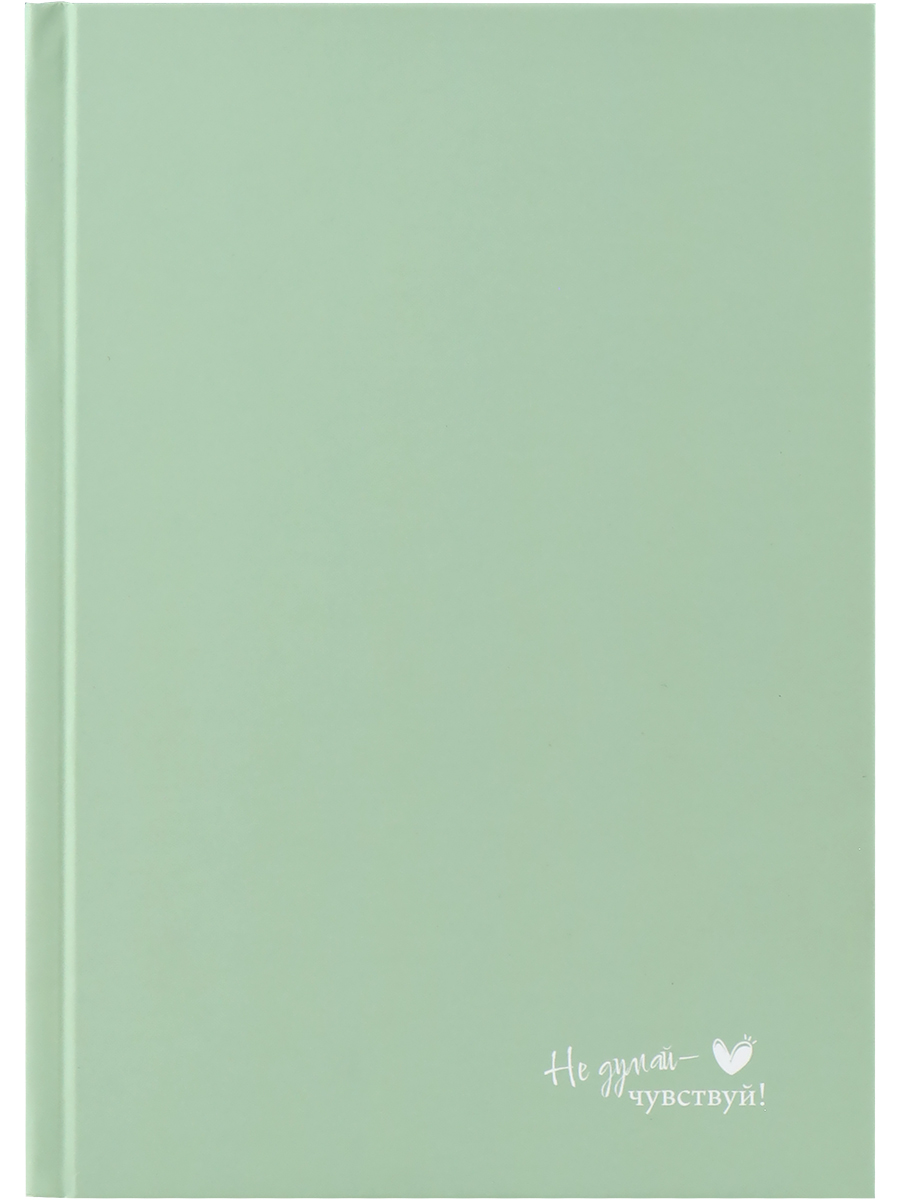 

Ежедневник А5 128л недатир. тв.обл. Пастельный зеленый soft touch PROF-PRESS 128-6702