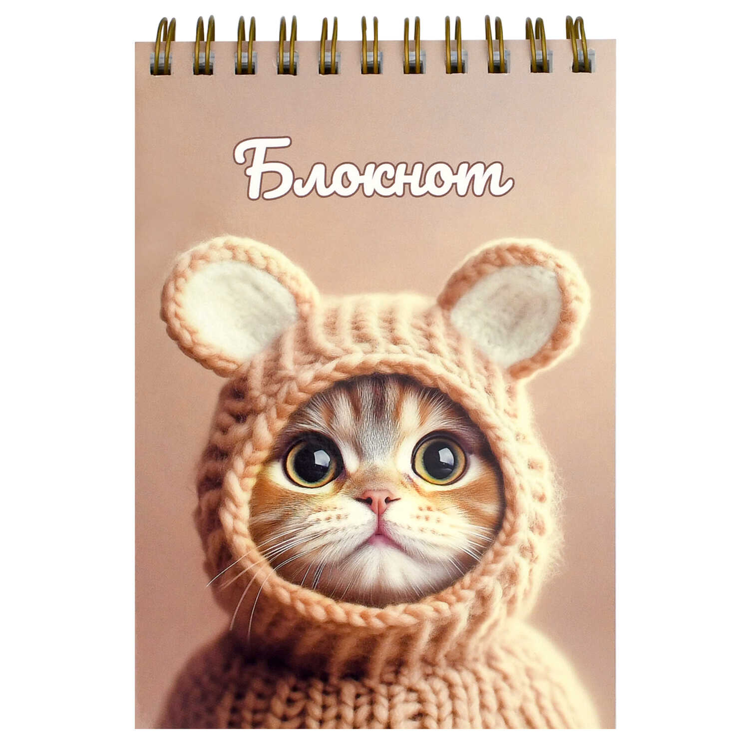 Блокнот А6 80л клетка гребень мягкобл Котенок в шапочке УФ-лак ФЕНИКС 70968 99₽