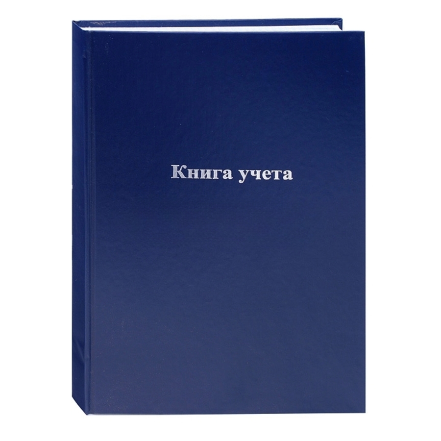 Книга учета А4 192л клетка твобл бумвинил тиснфольгой deVENTE 27739 349₽