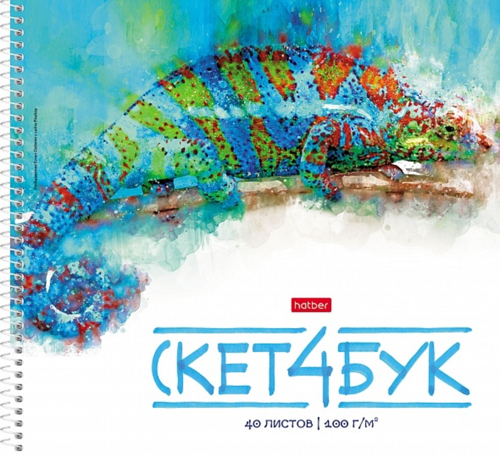 Альбом для рисования 220х240мм 40л спираль Mash-up тиснение ассорти 100гм2 HATBER 40А4тВсп уни 120₽