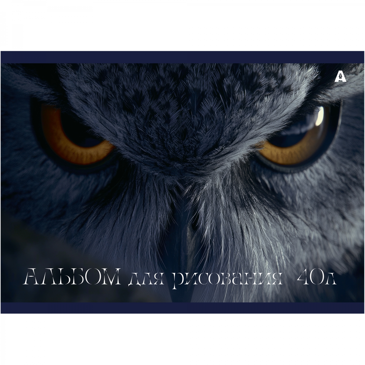 Альбом для рисования А4 40л гребень меловкартон Сова 100гм2 ALINGAR AL13299 уни 98₽