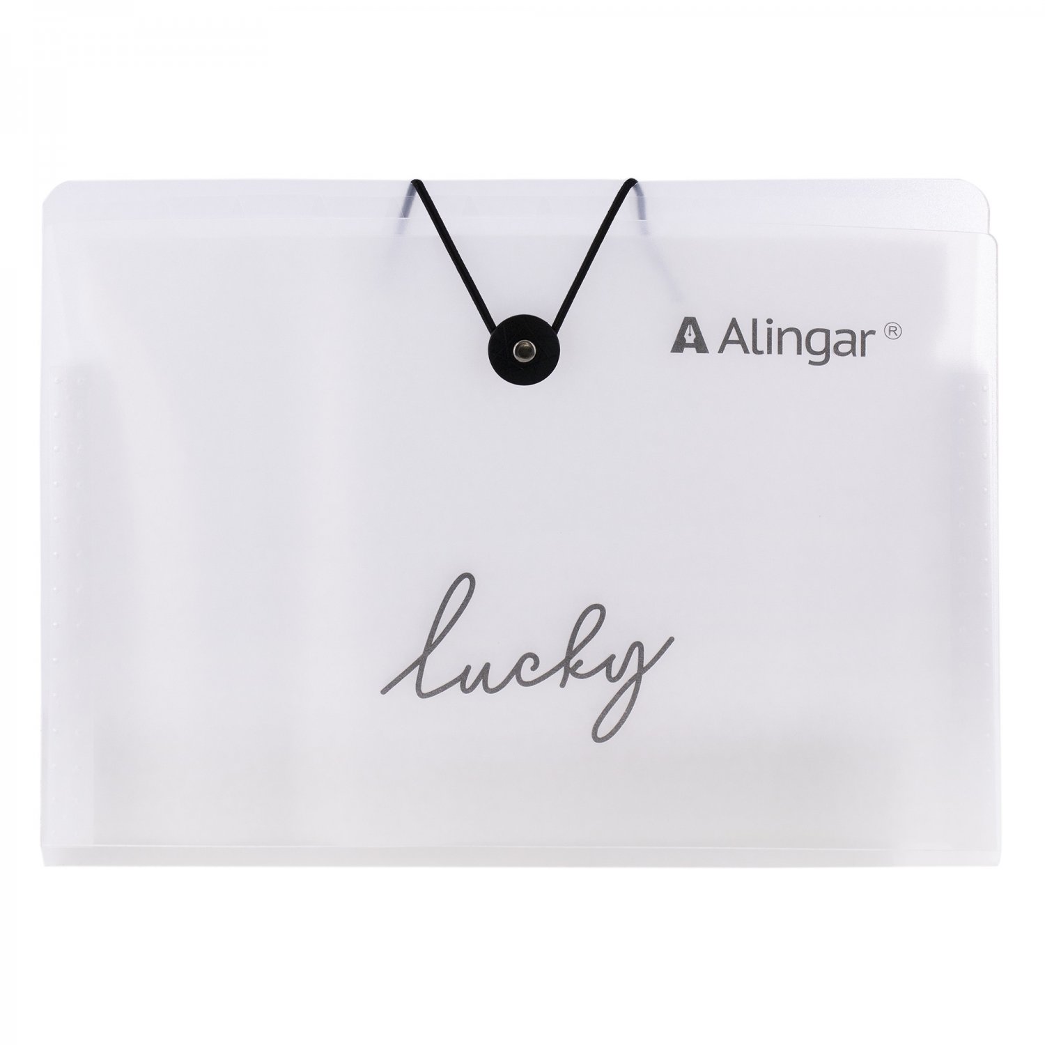 Папка на резинке пластик А4 13отд пл500мкм Lucky с наклейками-разделителями ALINGAR AL11379 181₽