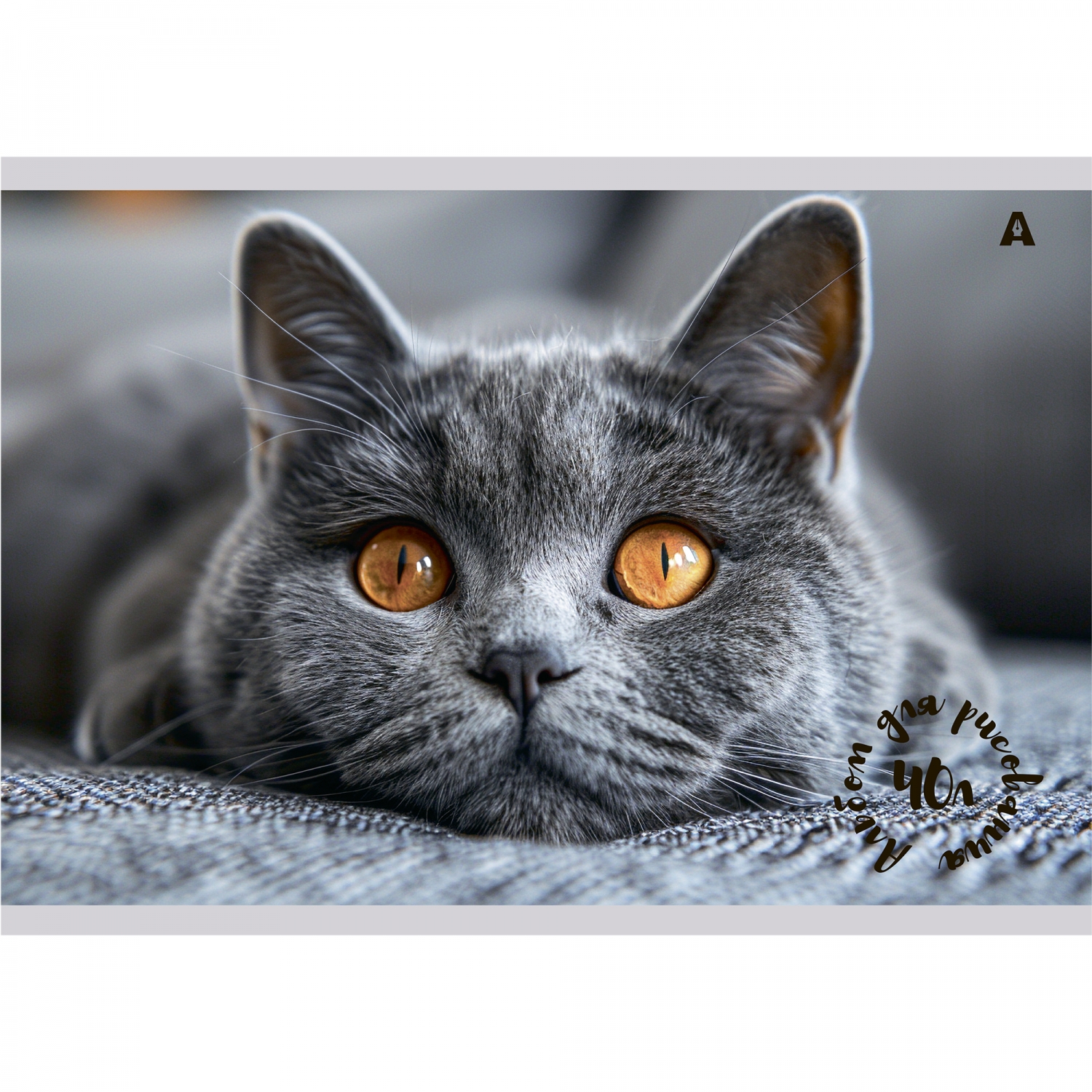 Альбом для рисования А4 40л гребень мелов.картон Котик 100г/м2 ALINGAR AL13294 (жен)