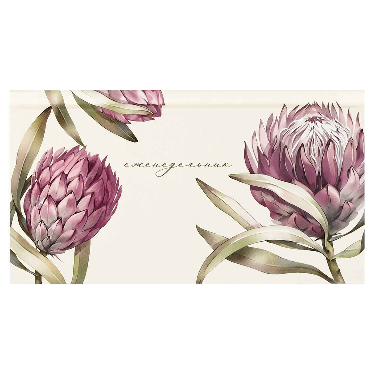 Еженедельник 90х170мм 64л недатир твобл Протея выб УФ-лак матлам ФЕНИКС 71559 147₽