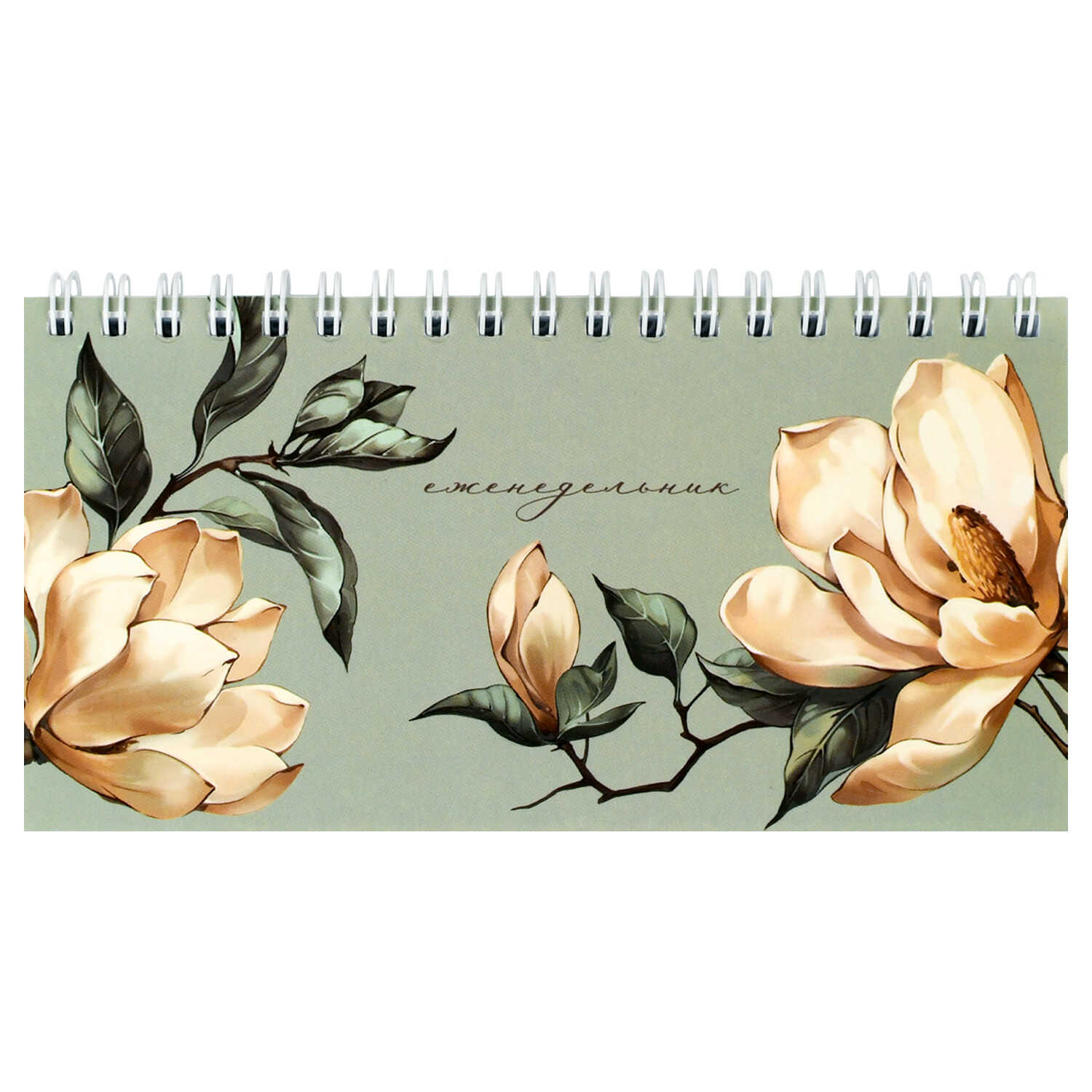 Еженедельник 85х165мм 64л недатир мягкобл гребень Магнолия выб УФ-лак матлам ФЕНИКС 71596 104₽