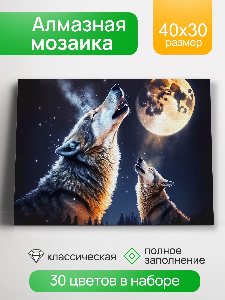 Мозаика алмазная 30х40см Ночной зов 796₽