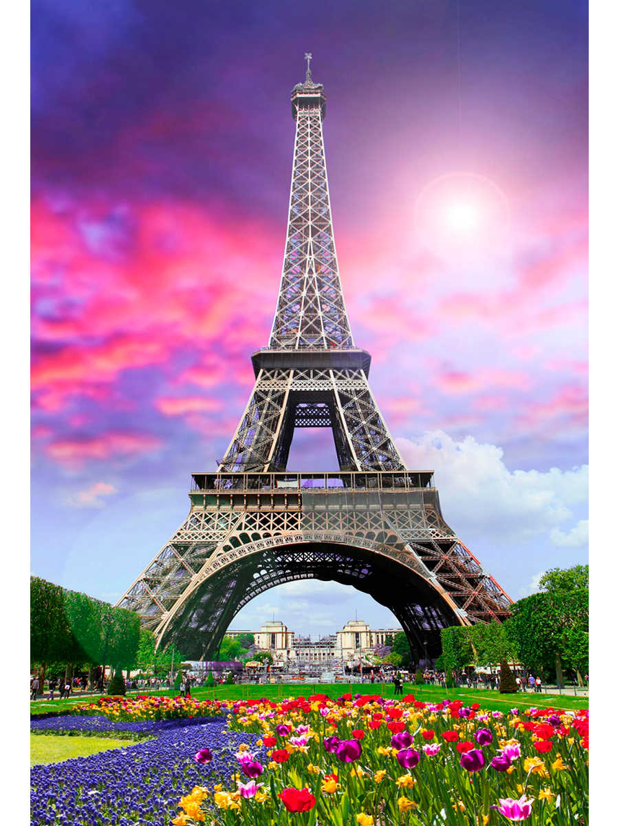 Мозаика алмазная 30х40см Цветущий Париж 636₽