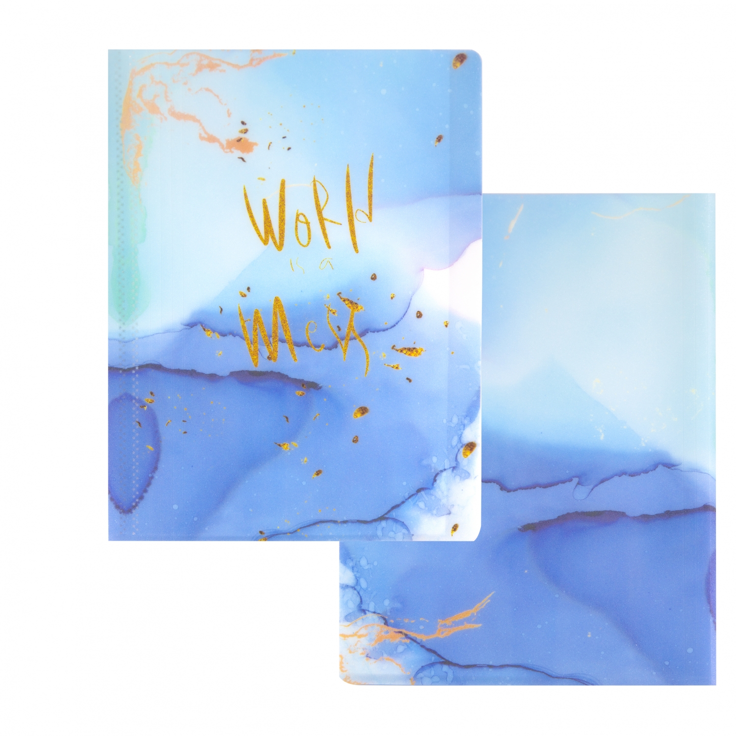 Папка 40 вкладышей пластик А4 пл400мкм World голубой мрамор ALINGAR AL12806 110₽