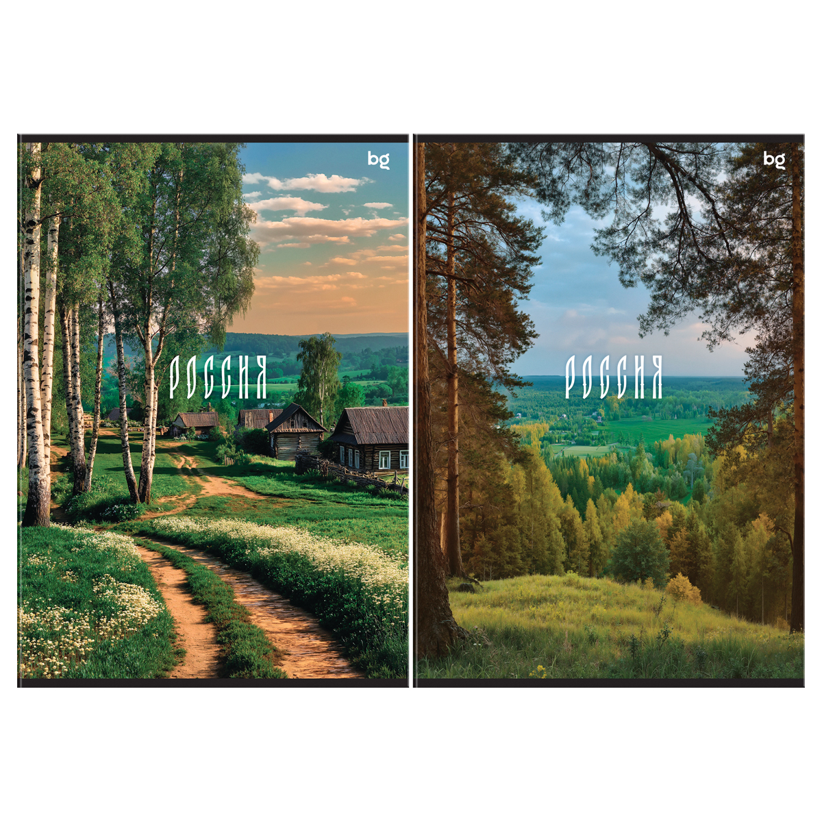 Тетрадь А4 48л клетка скрепка мелов.картон Родные места ассорти BG Т4ск48 06283