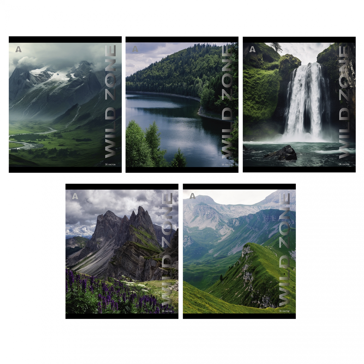 Тетрадь А5 36л линия скрепка облмеловбум Wild zone ассорти 5 дизайнов ALINGAR AL10348 33₽