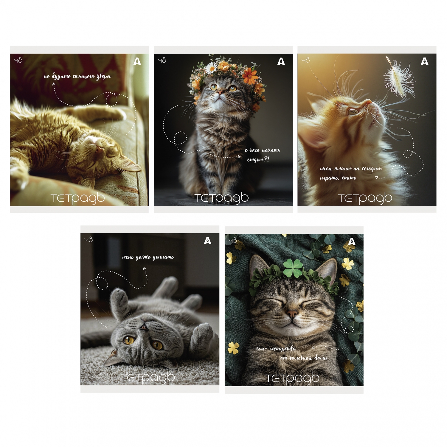 Тетрадь А5 48л клетка скрепка мелов.картон Кошки ассорти 5 дизайнов ALINGAR AL9950