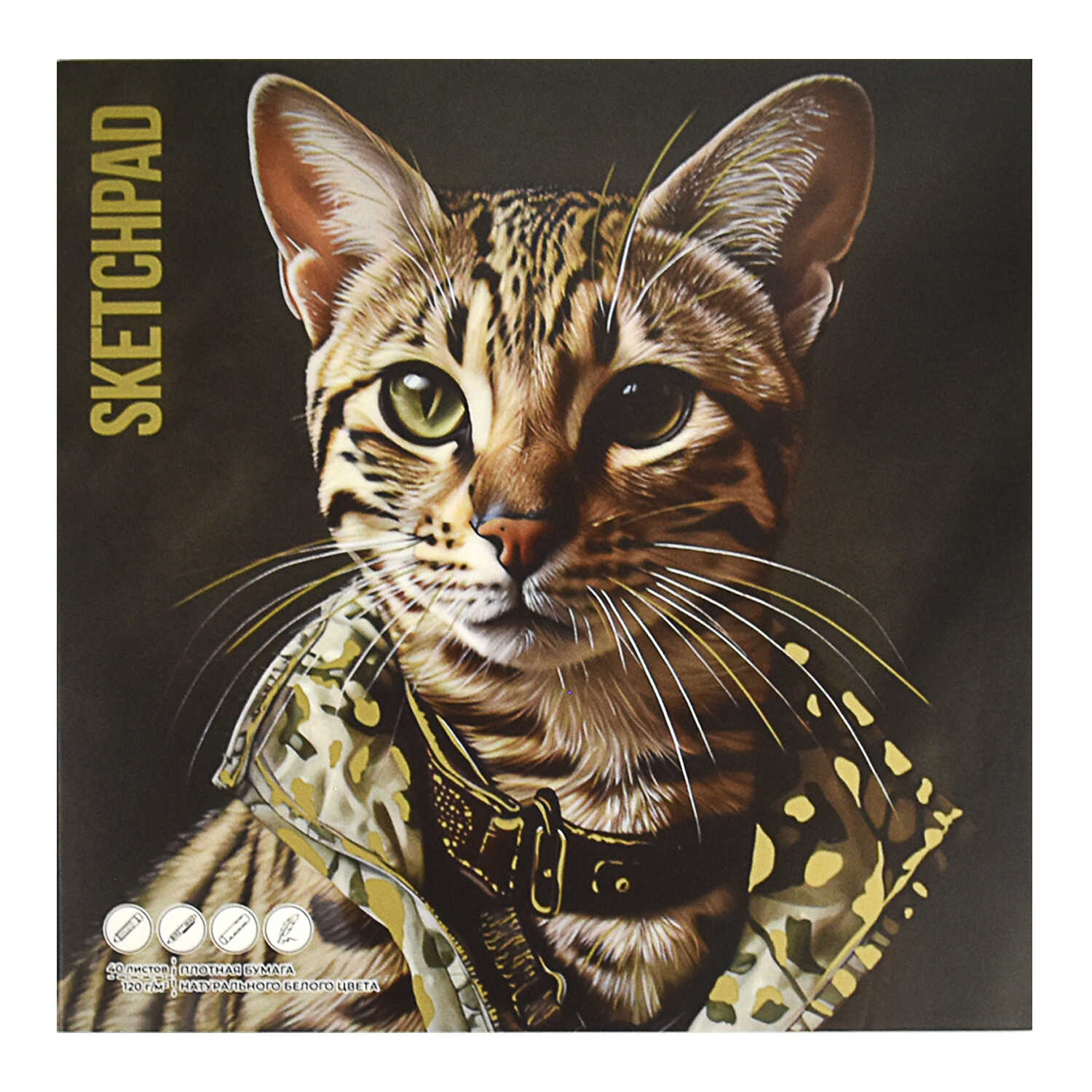 Скетчбук 170х170мм 40л склейка мягкобл Стильный кот 120гм2 ФЕНИКС 68264 140₽