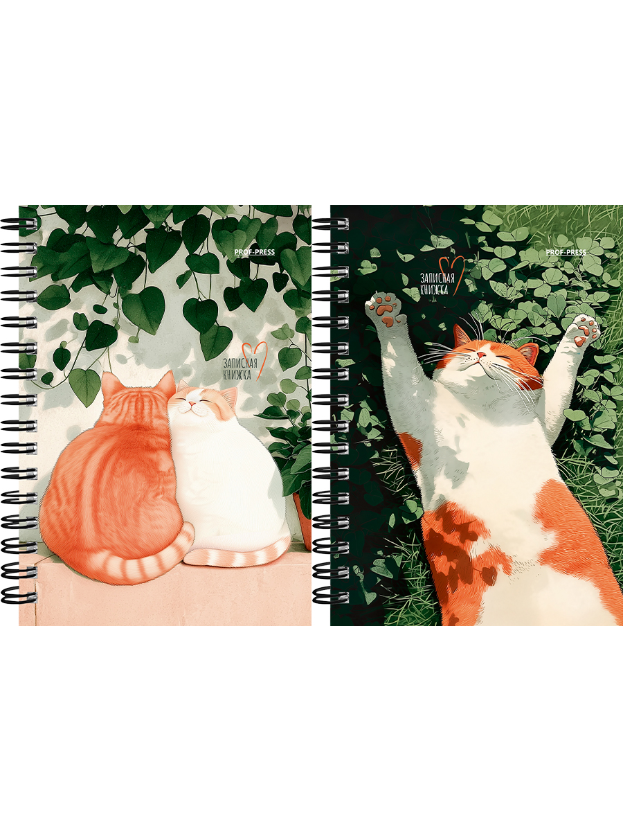 Книжка записная А6 120л клетка гребень мягкобл Солнечные котики-1 ассорти PROF-PRESS ЗК120-3022 87₽