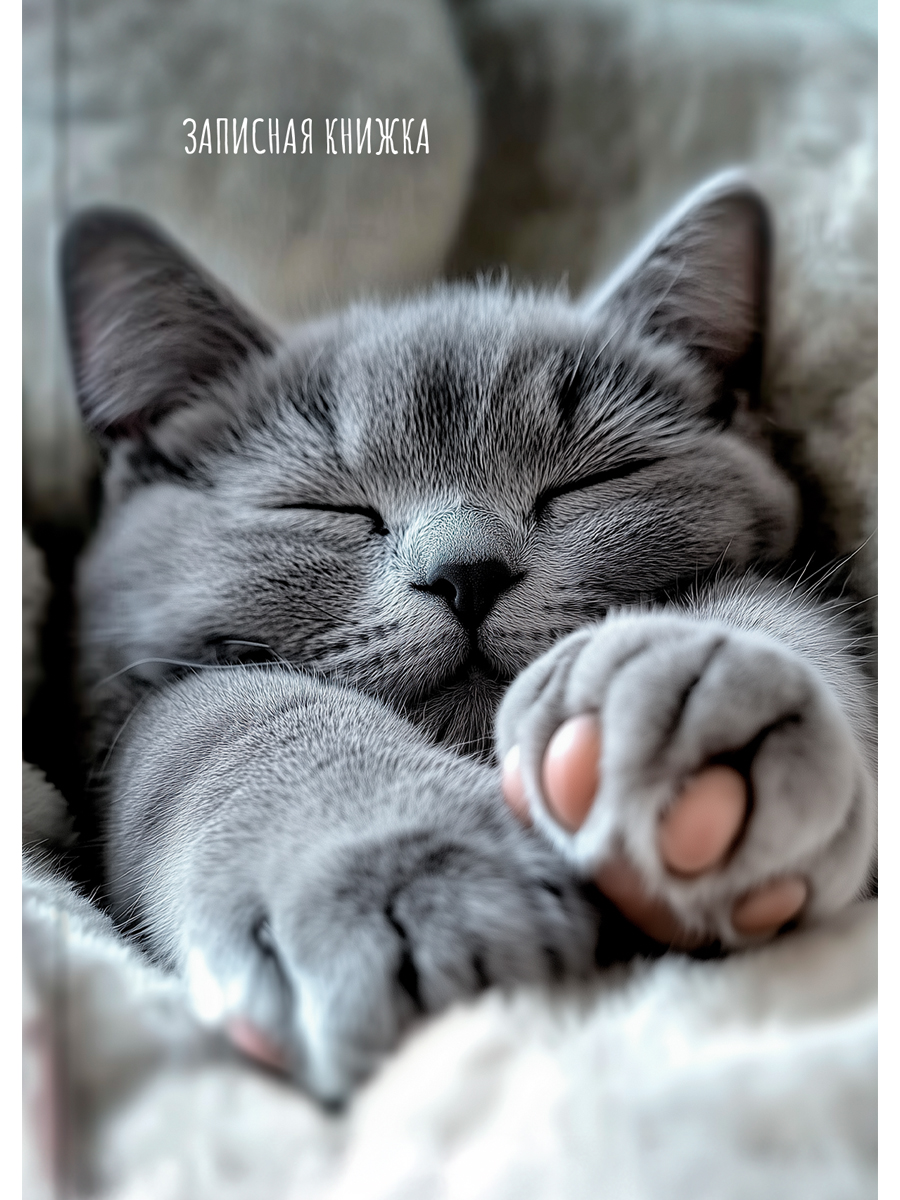 Книжка записная А6 160л клетка твобл Милые котики-9 глянцлам PROF-PRESS ЗК160-0085 105₽