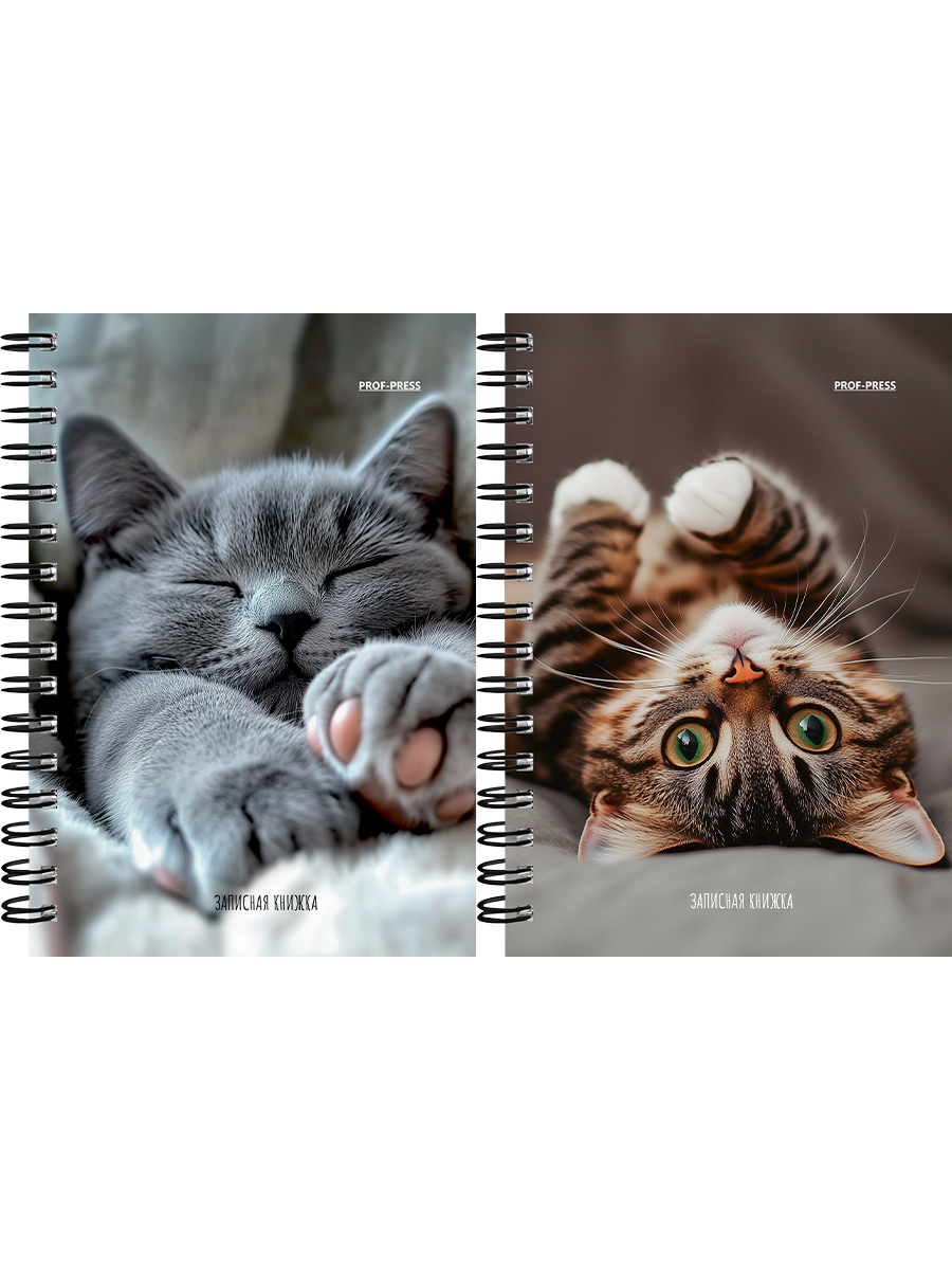 Книжка записная А6 120л клетка гребень мягкобл Милые котики-6 ассорти PROF-PRESS ЗК120-3019 87₽