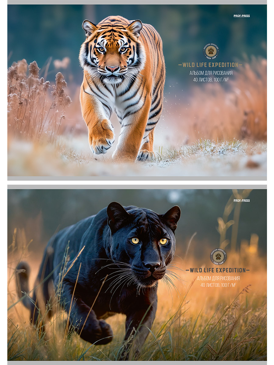 Альбом для рисования А4 40л скрепка меловкартон Большие дикие кошки ассорти PROF-PRESS А40-8233 уни 88₽