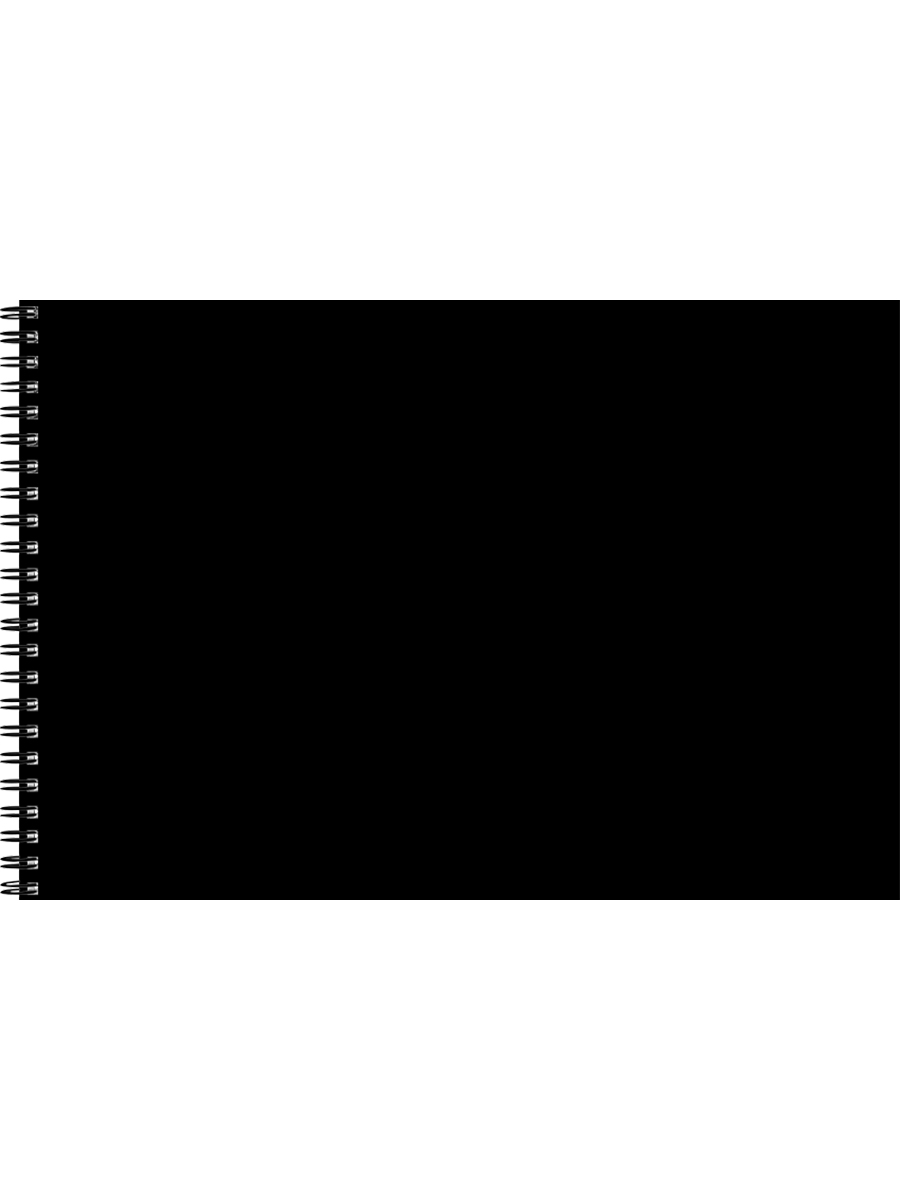 Альбом для рисования А4 40л гребень меловкартон Стильный черный 100гм2 PROF-PRESS 40-9997 уни 98₽