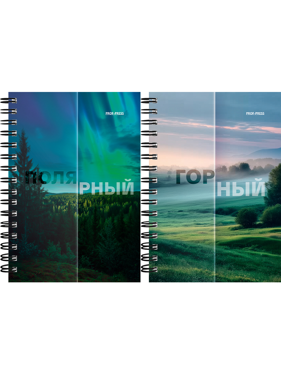 Книжка записная А6 120л клетка гребень мягкобл Matte Nature ассорти PROF-PRESS ЗК120-3020 87₽