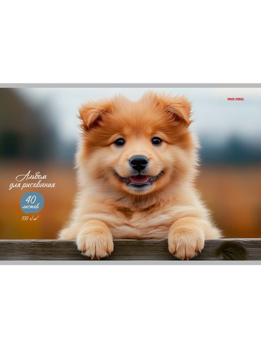 Альбом для рисования А4 40л скрепка меловкартон Обаятельный песик-1 100гм2 PROF-PRESS 40-7788 уни 121₽