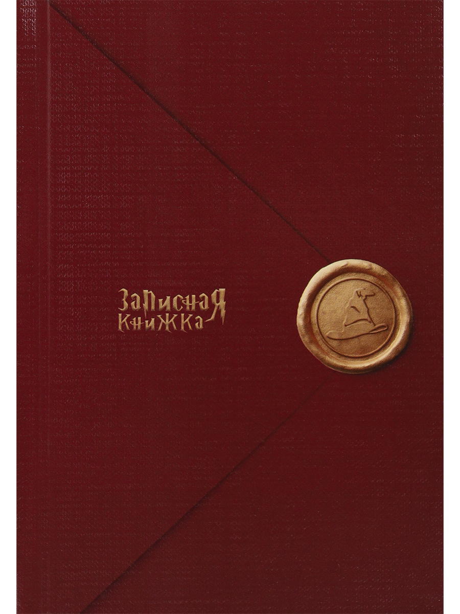 Книжка записная А6 80л клетка твобл Волшебные письма-1 глянцлам лен PROF-PRESS ЗК80-0076 121₽