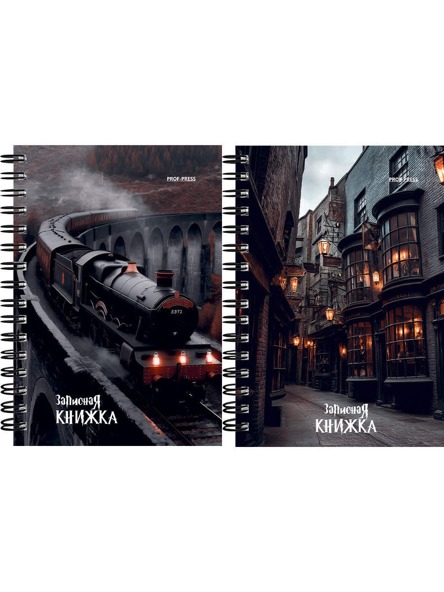 Книжка записная А6 120л клетка гребень мягкобл Школа магии ассорти PROF-PRESS ЗК120-3023 87₽