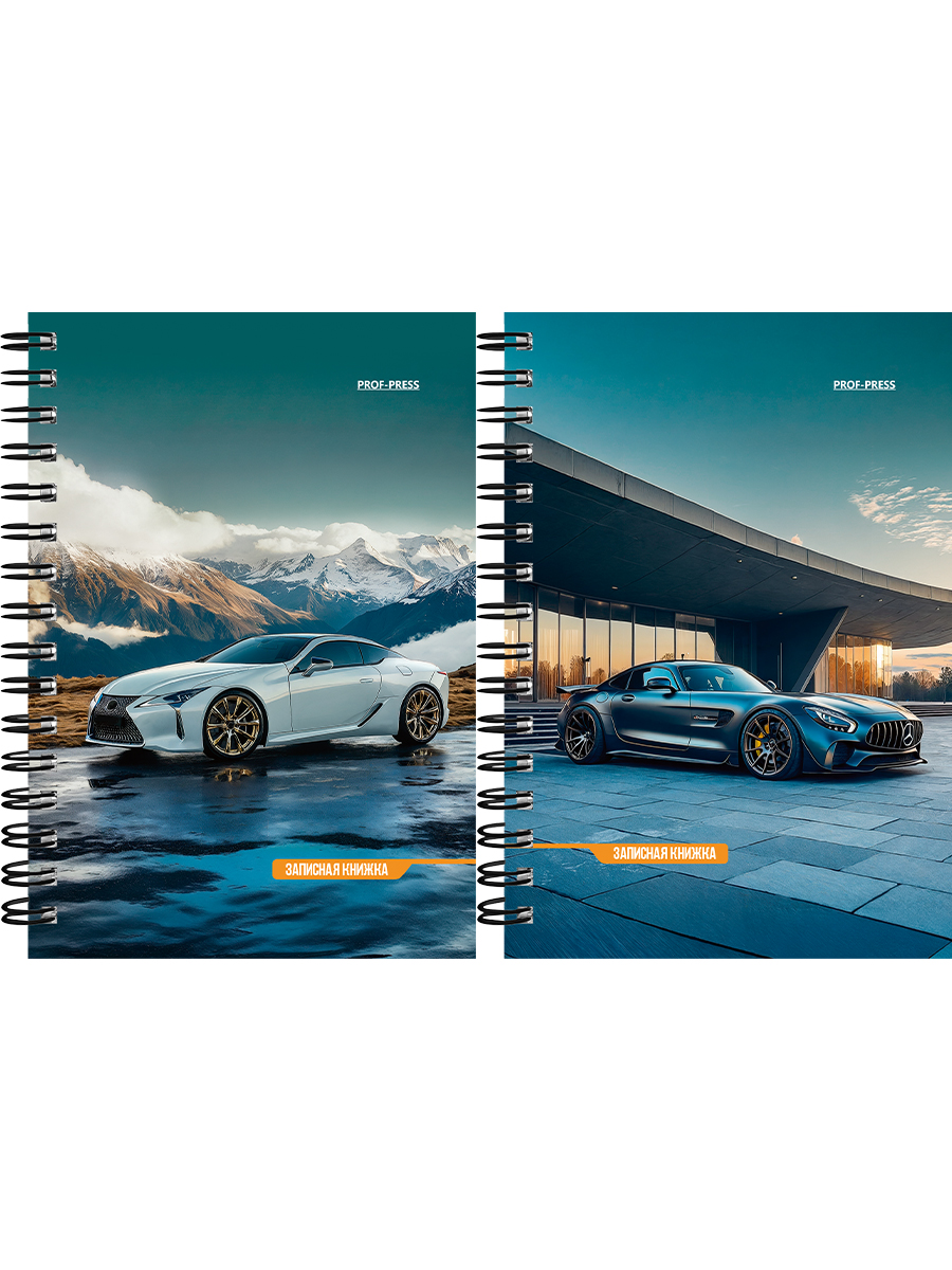Книжка записная А6 120л клетка гребень мягкобл Шикарные автомобили-7 ассорти PROF-PRESS ЗК120-3024 87₽