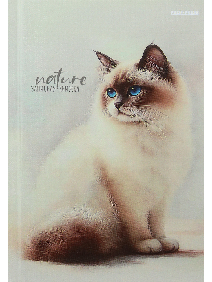 Книжка записная А6 80л клетка твобл Красивые коты-2 глянцлам лен PROF-PRESS ЗК80-0075 121₽