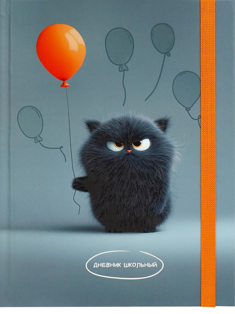 Дневник младших классов твобл Хмурый котик выблак резинка PROF-PRESS Д48-9453 уни 131₽