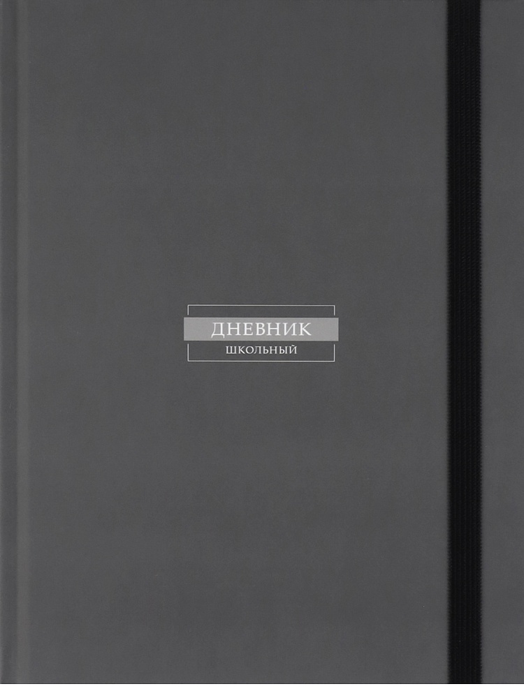 Дневник универсальный твобл Классический серый-3 soft touch PROF-PRESS Д40-9447 уни 150₽