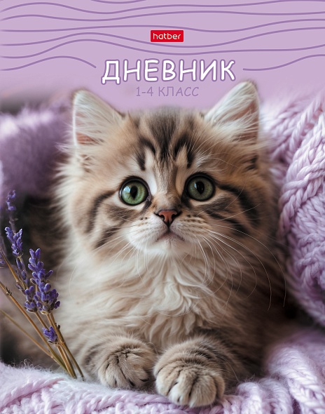 Дневник младших классов твобл МяУсы справочнмат глянцлам HATBER 48ДмТ5В_35801 жен 106₽