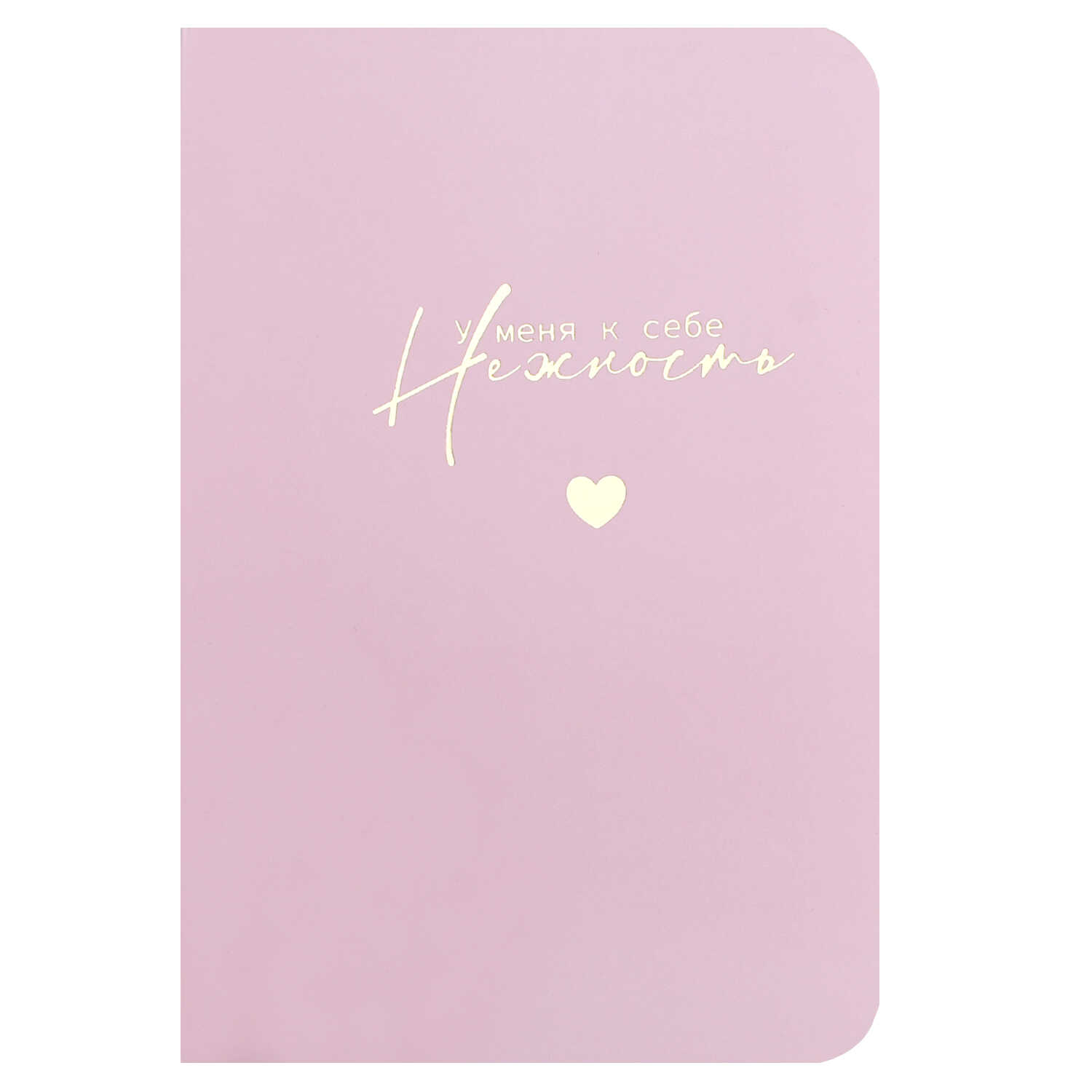 Блокнот А6 32л линия скрепка мягкобл У меня к себе нежность матлам тиснфольгой ФЕНИКС 73235 111₽