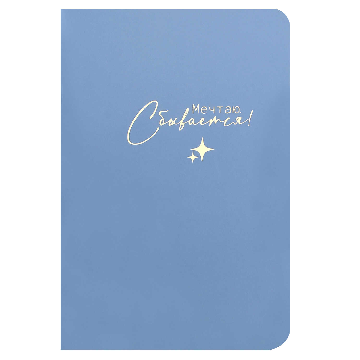 Блокнот А6 32л линия скрепка мягкобл Мечтаю сбывается матлам тиснфольгой ФЕНИКС 73237 111₽
