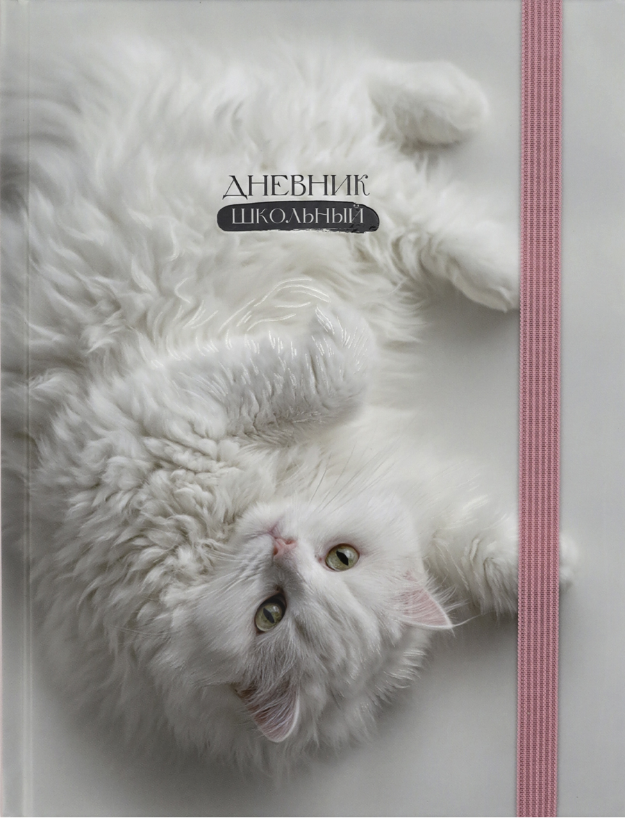 Дневник универсальный твобл Нежный котик-2 матлам выблак резинка PROF-PRESS Д40-9436 жен 128₽