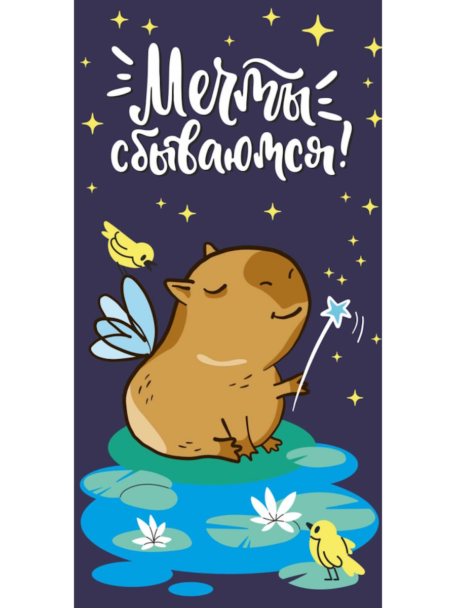 

1-05-0241 Конверт для денег Евро Мечты сбываются! капибара-фея (жен)