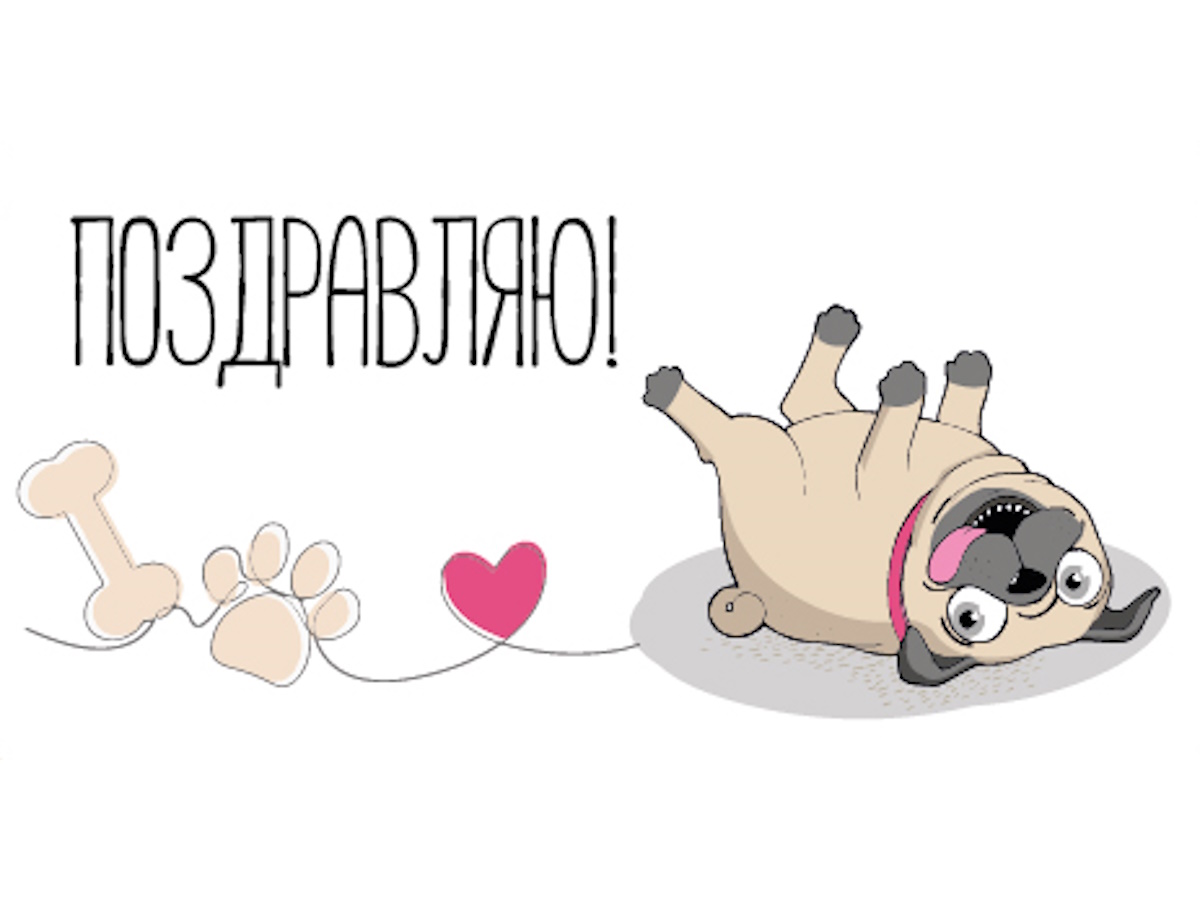 

ЛХ-0180 Конверт для денег Евро Поздравляю холст, мопс (уни)