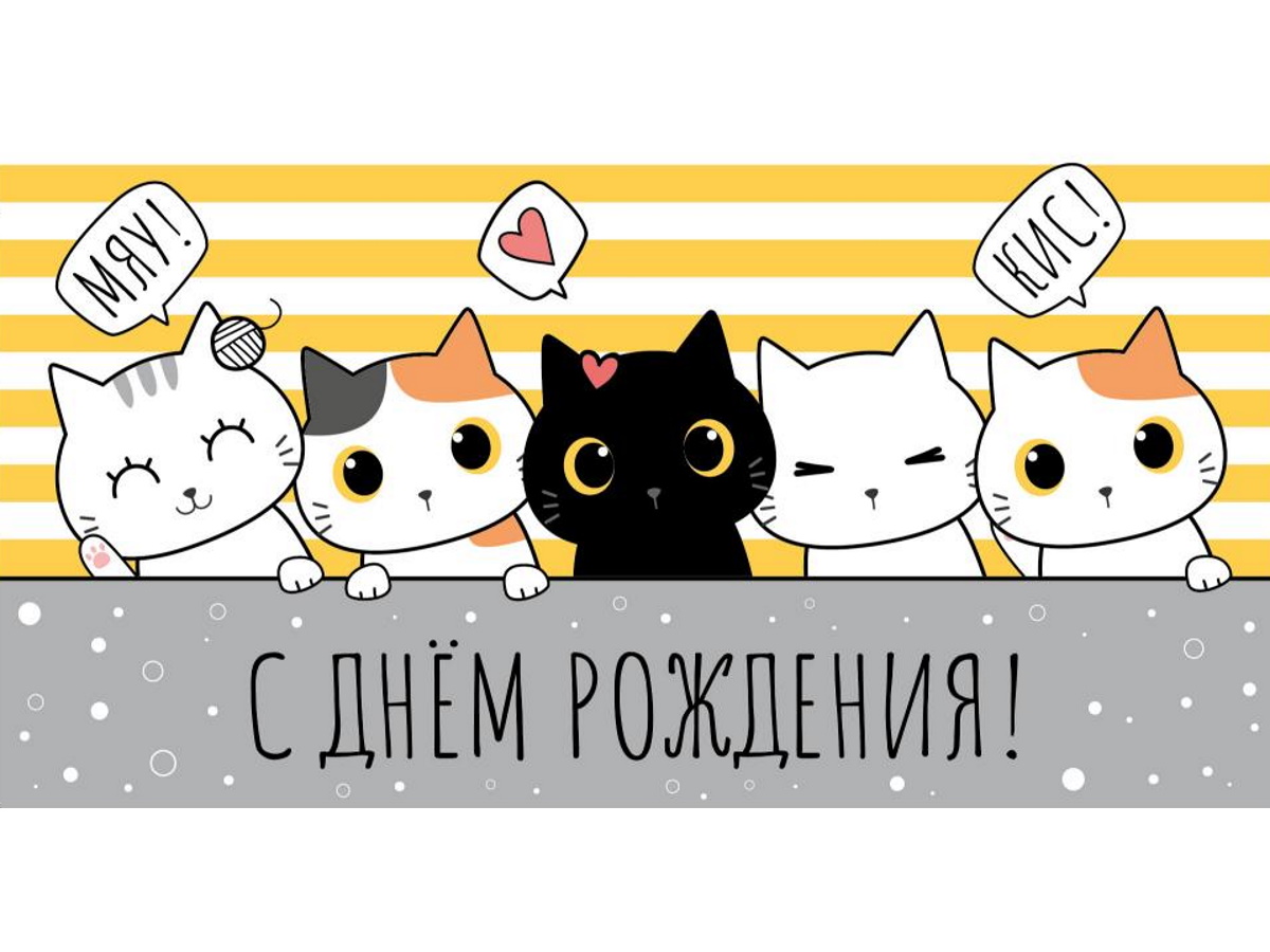 

1-05-0269 Конверт для денег Евро С днем рождения! веселые котики (уни)