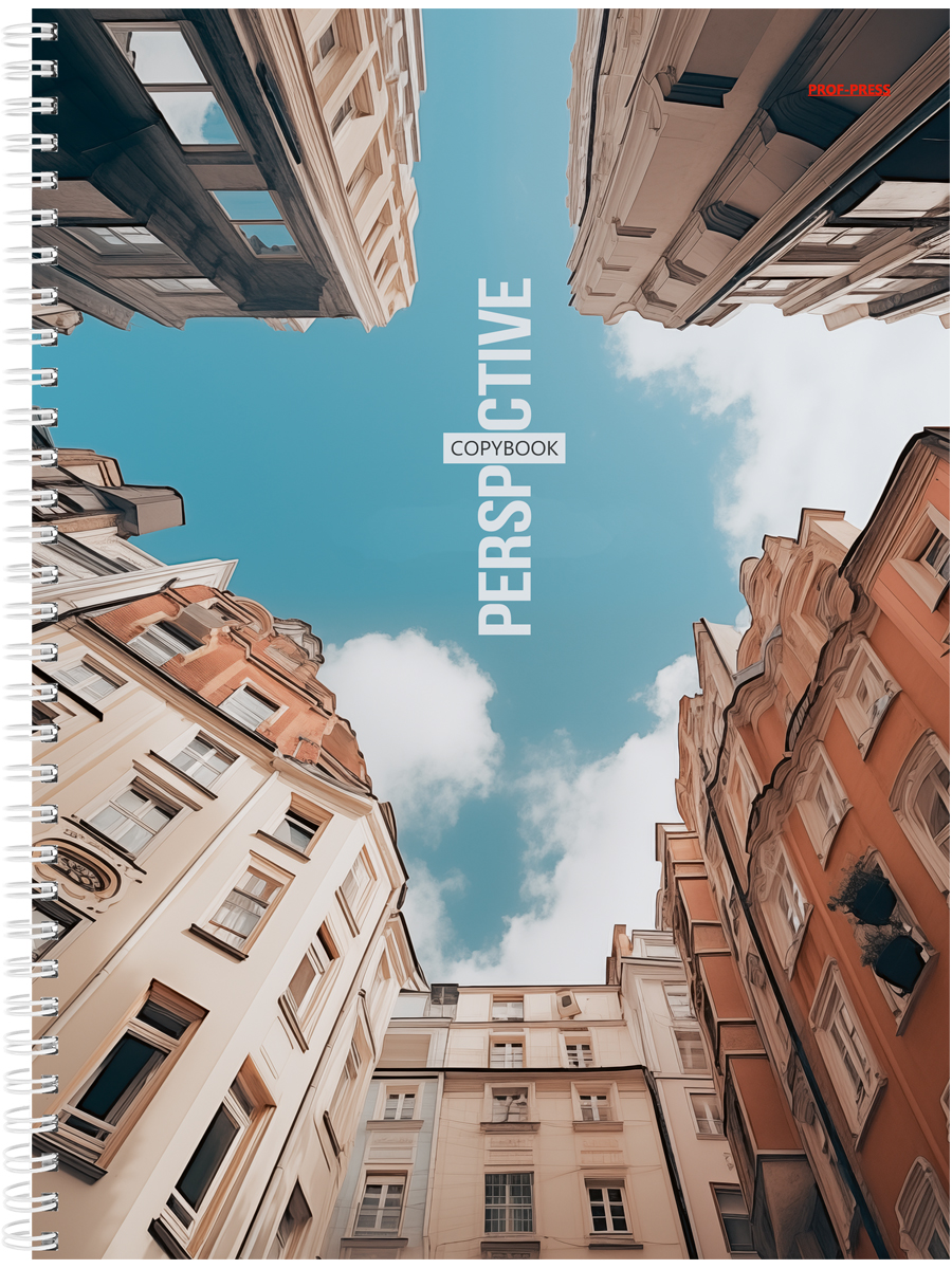 

Тетрадь А4 96л клетка гребень мелов.картон Дома и небо PROF-PRESS 96-2340