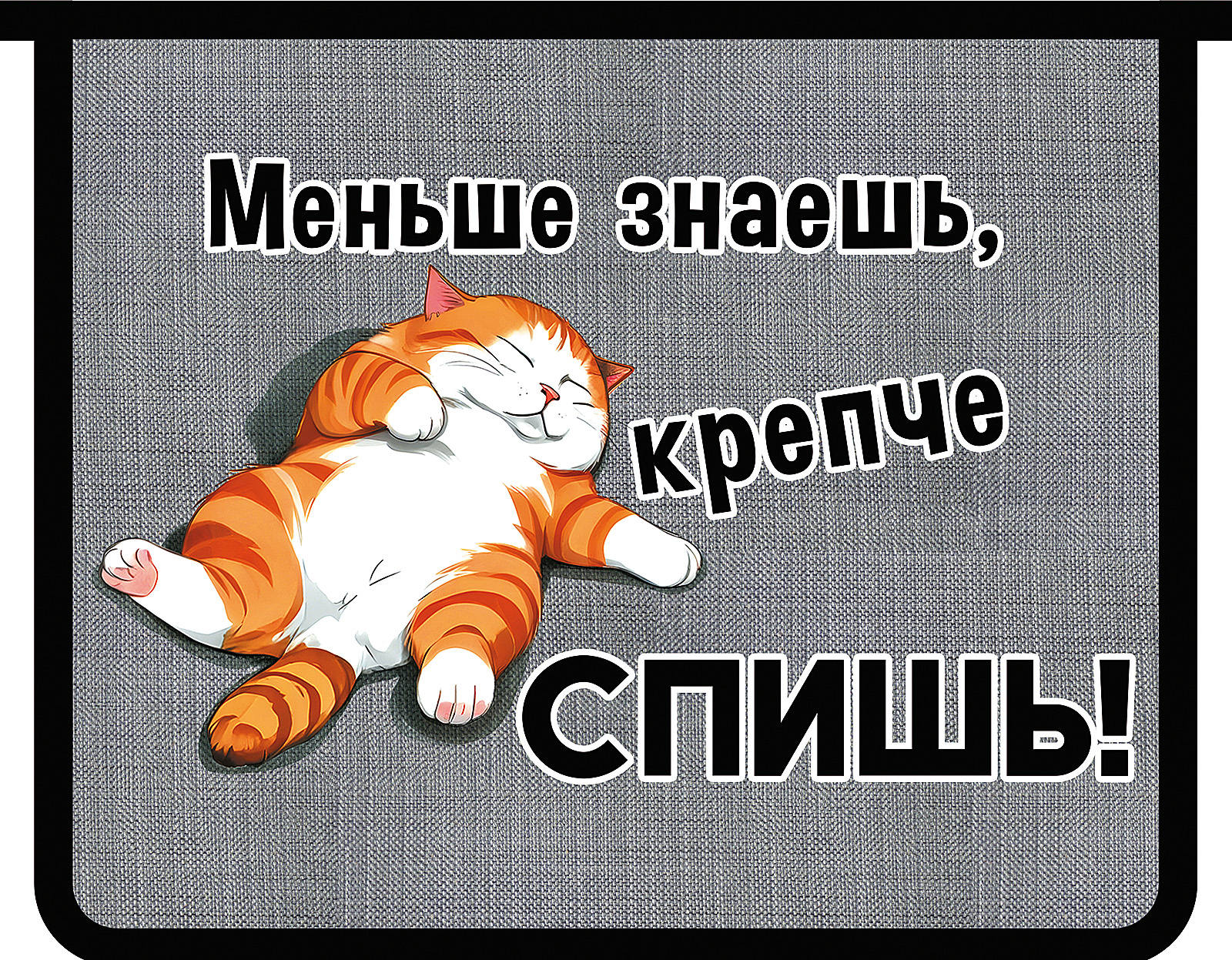 

Папка для тетрадей пластик молния сверху А5 1отд. Спящий котик ПЧЕЛКА ПМ-А5-29 (уни)