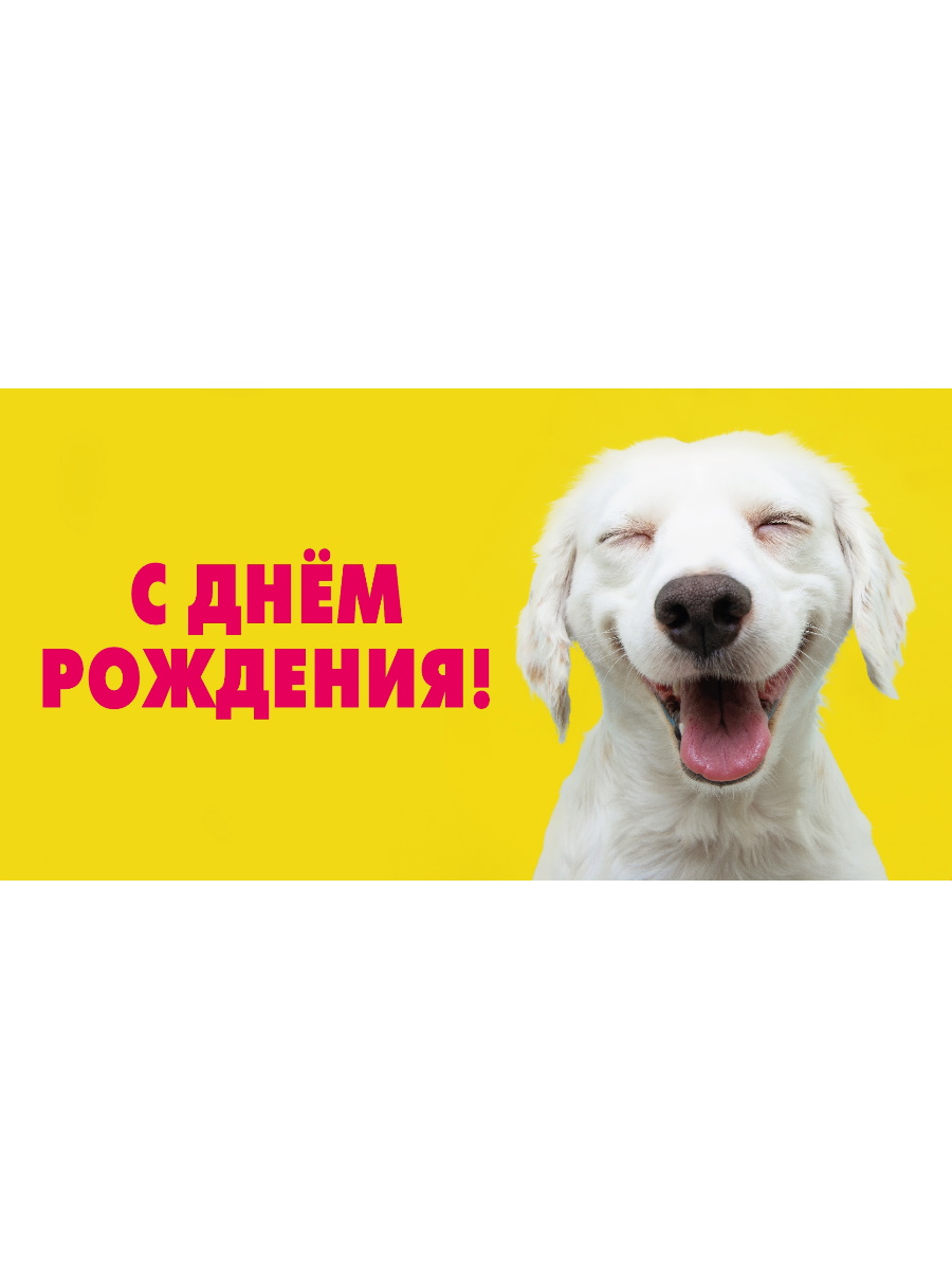 

1-11-0161 Конверт для денег Евро С днем рождения! собачка улыбается (уни) УФ-лак
