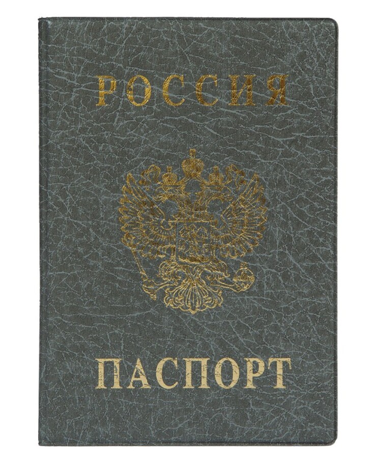 

Обложка для паспорта А6 ПВХ серая Россия ДПС 2203.В-106